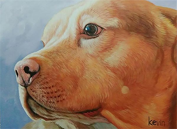 cani arte personalizzata