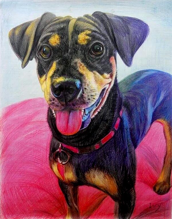 art canin sur mesure