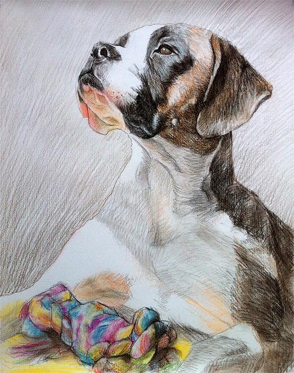 dog portraits on canvas