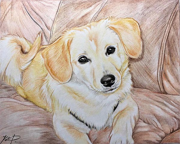 Retratos de perros sobre lienzo
