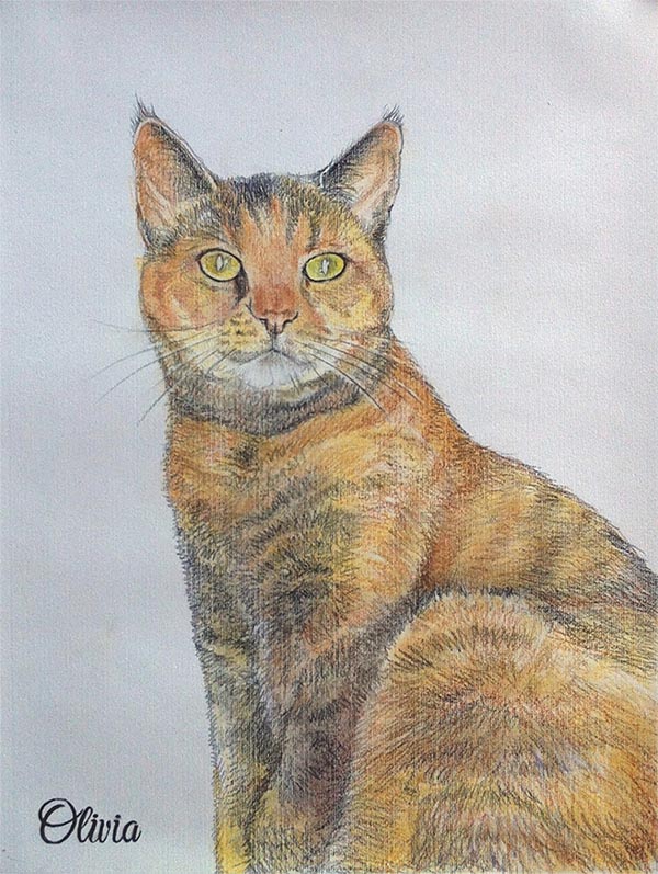 Retratos de gatos sobre lienzo