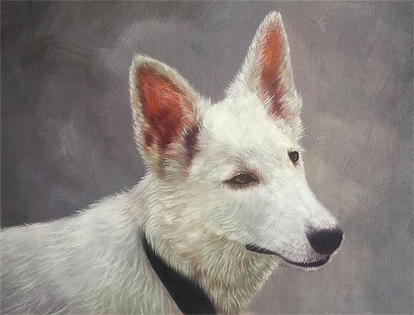 Hundeportraits auf Leinwand