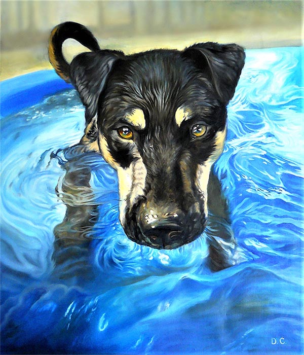 Hundeportraits auf Leinwand