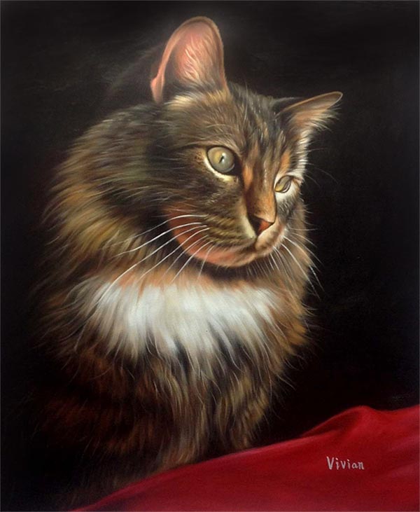custom oil painting of a beautiful cat