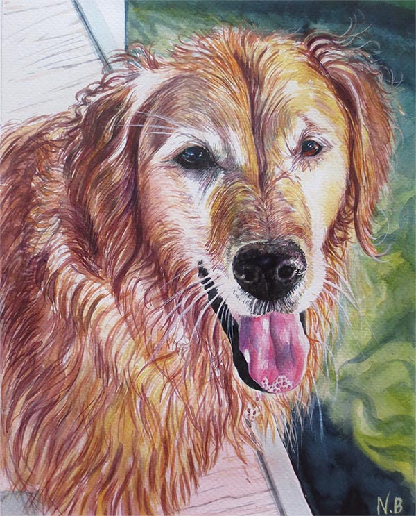 custom watercolor painting of Golden dog