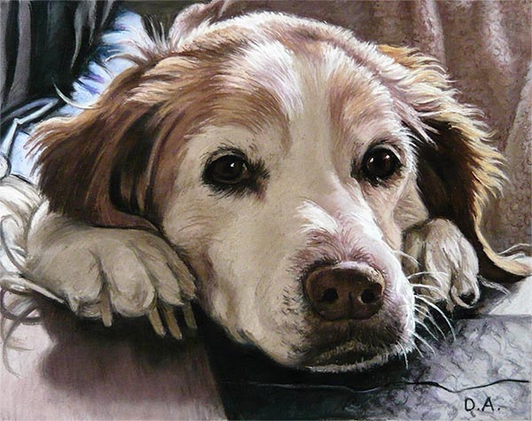 pastel portrait of a dog