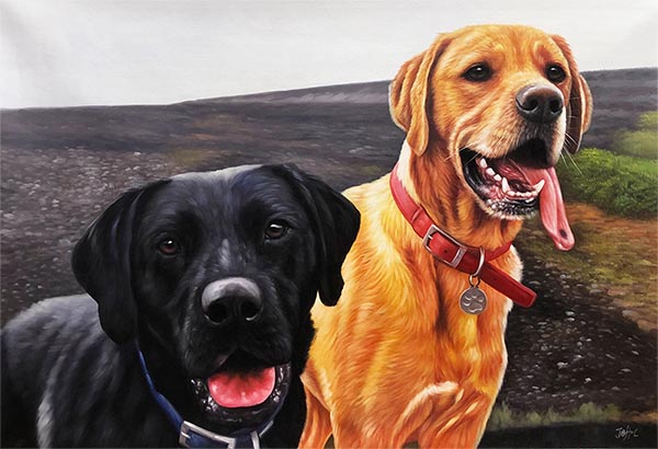 dogs portrait two dogs