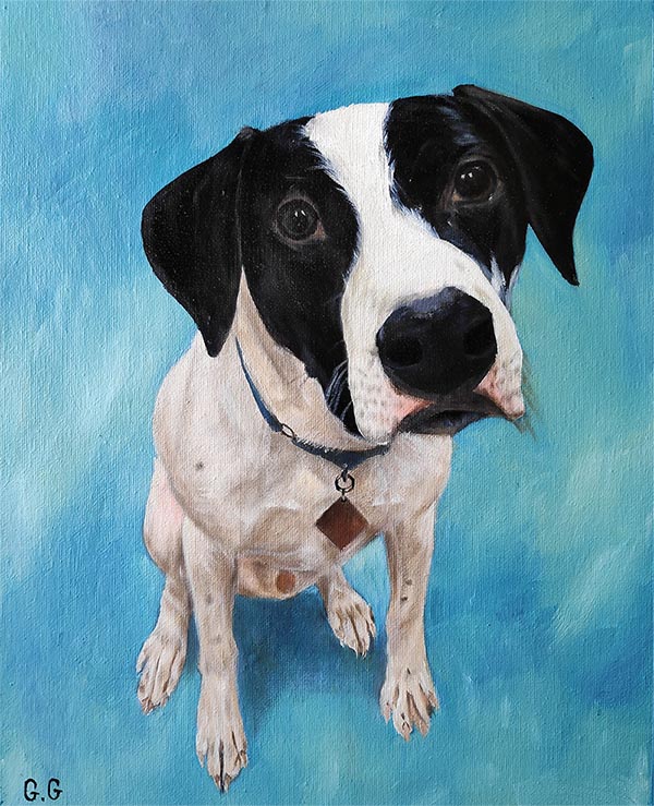 custom oil portrait of black white dog on blue backgroun