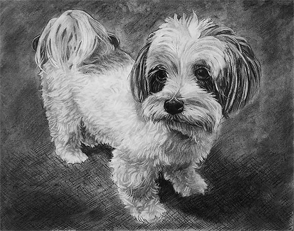 peinture de chien