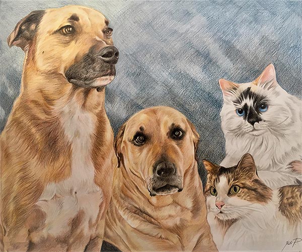 dibujos a lapiz