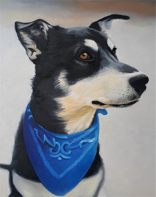 custom oil portrait of black dog with blue bandana