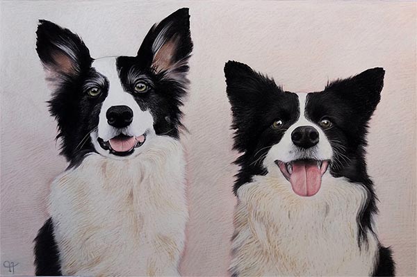 dog portrait painted in pastel