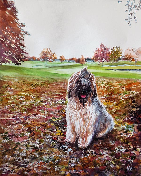 custom watercolor painting of dog at the park