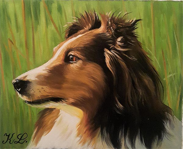handmade closeup oil portrait border collie