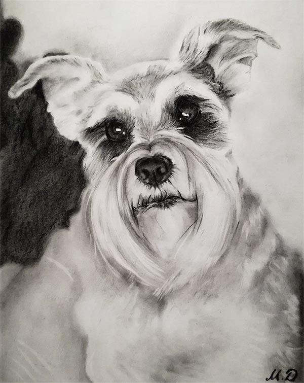 charcoal pet art