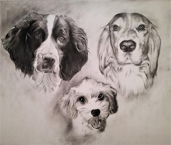 multiple dog drawing