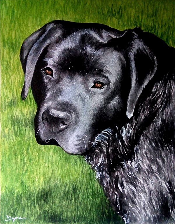 custom watercolor painting of black dog on grass