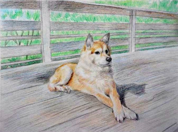 custom colored pencil drawing of a dog on a bridge