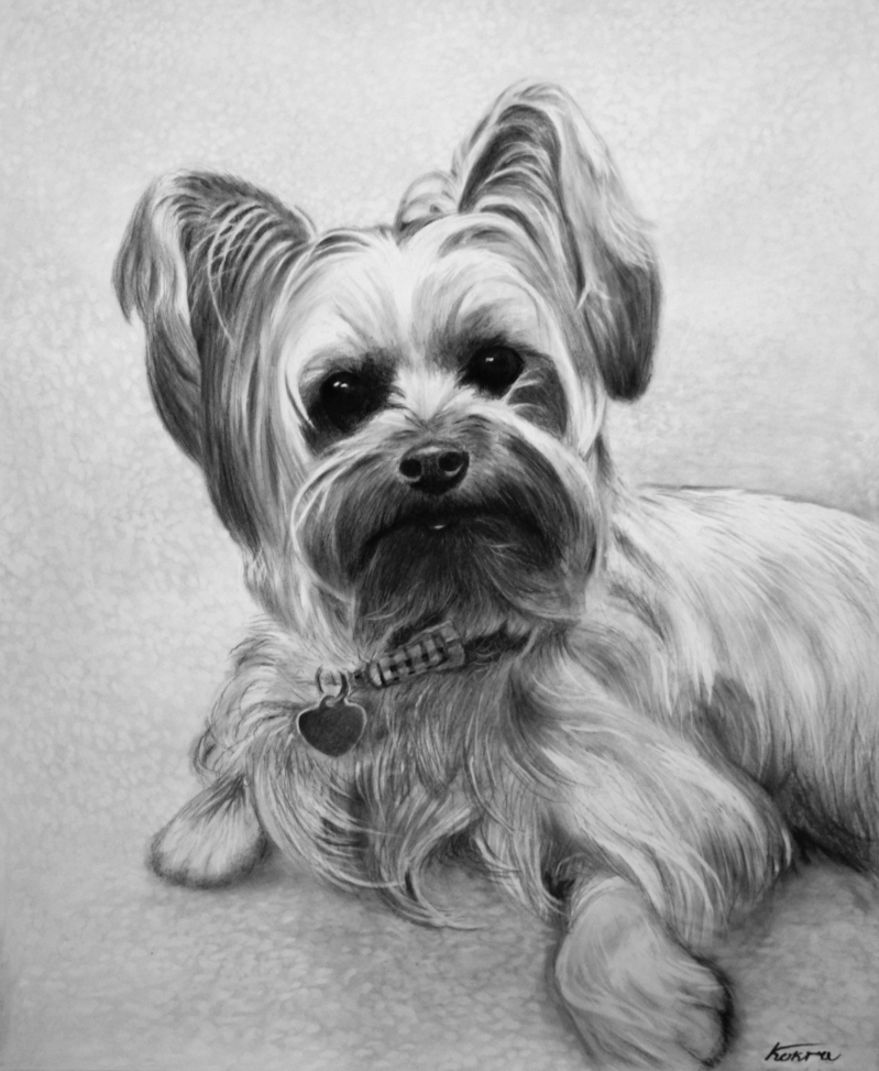 photorealistic charcoal portrait of dog