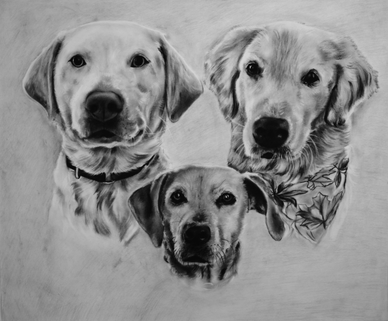 personalized charcoal drawing of three dogs