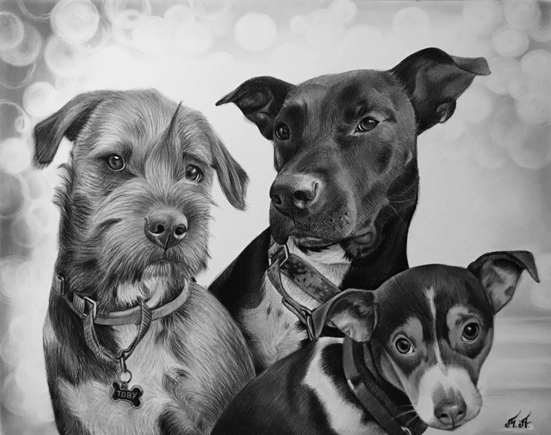 Black and white pencil sketch of three dogs.