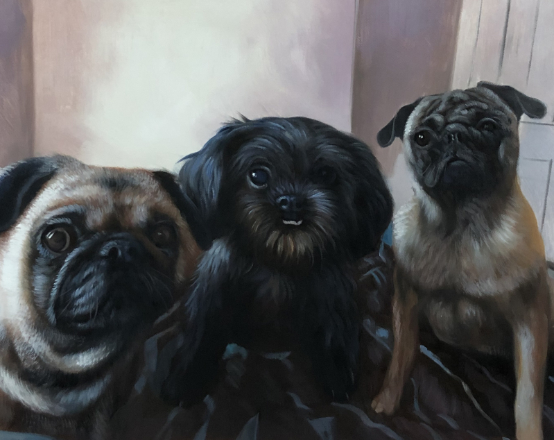 Painting of three dogs, two pugs and a small black dog.