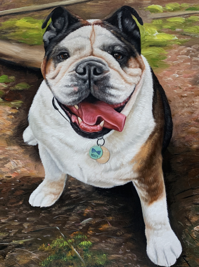 Painting of a happy bulldog named Monty, tongue out, wearing a collar with a tag.