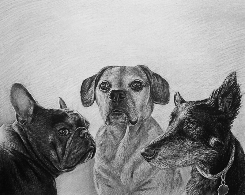 Three dogs in a grayscale pencil sketch.