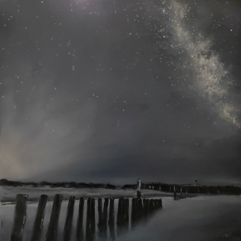Night sky with Milky Way over a row of wooden posts.