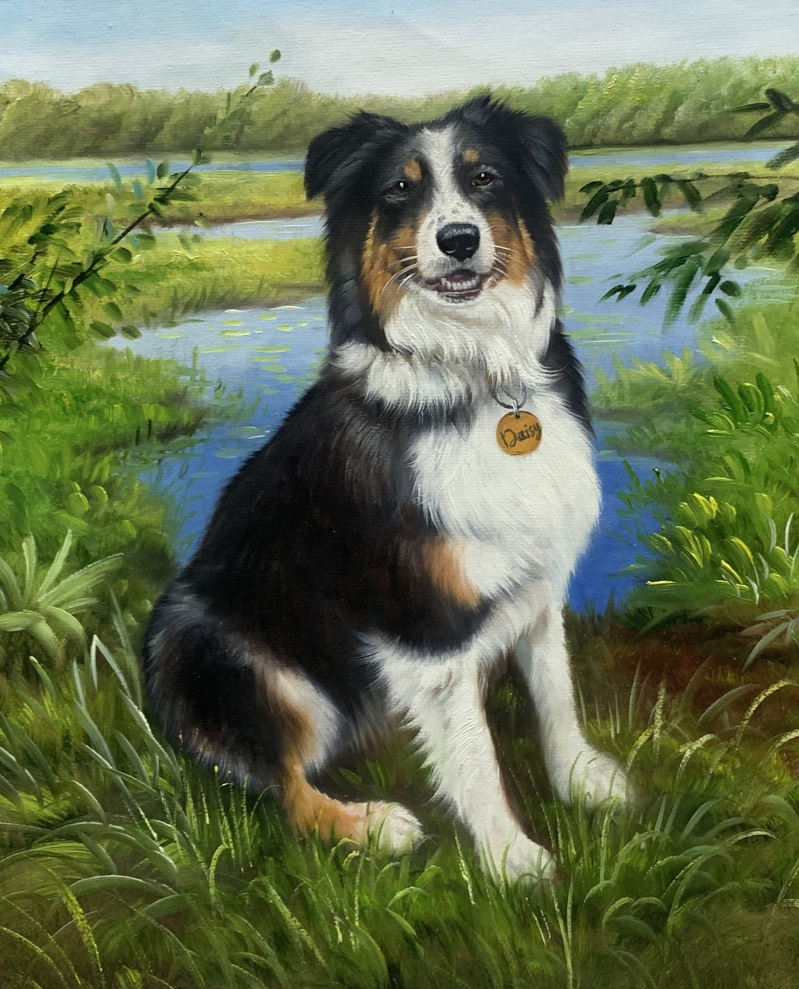 Painting of a tri-colored Australian Shepherd named Daisy sitting in grass by a pond.