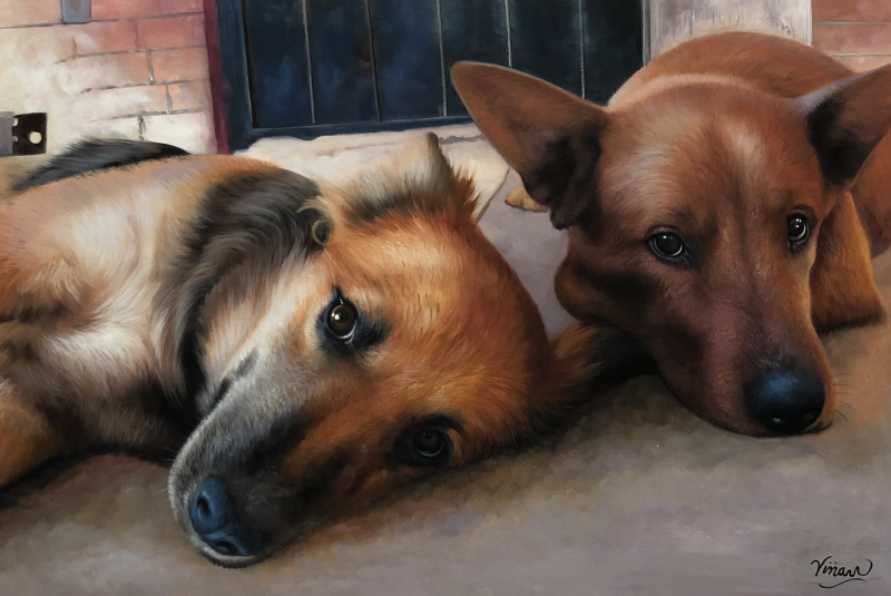 Painting of two brown dogs lying down next to each other.