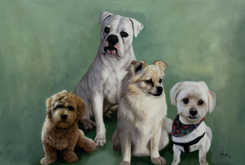 Custom oil painting of four dogs with a solid background