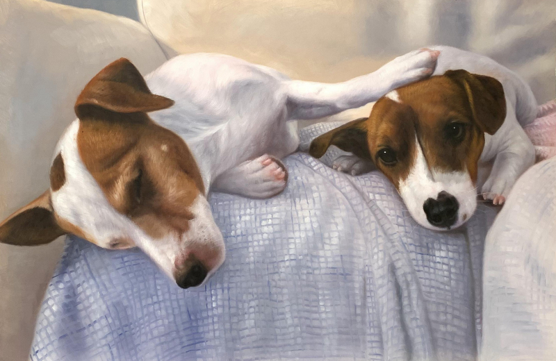 Painting of two Jack Russell Terriers cuddling on a light blue blanket.