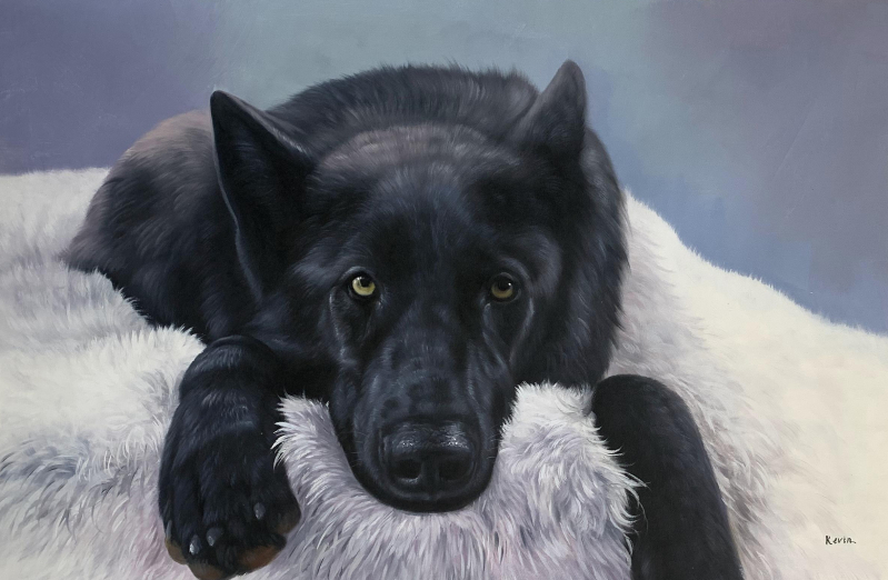 Painting of a black wolfdog resting on a fluffy white surface.
