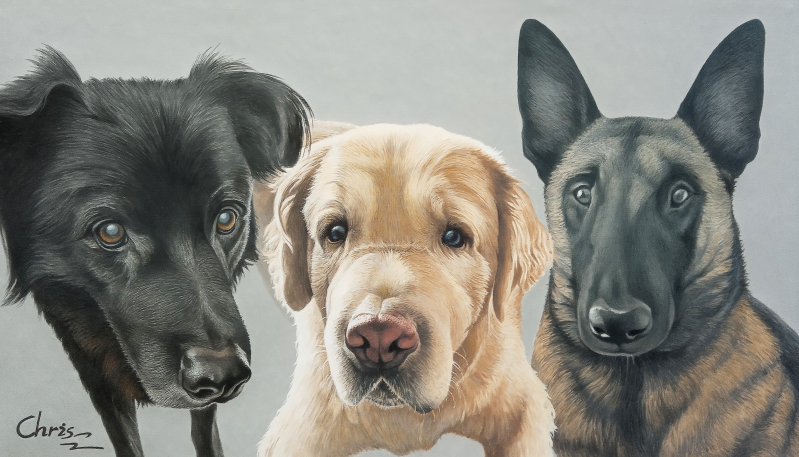 Painting of three dogs: a black dog, a golden retriever, and a Belgian Malinois.