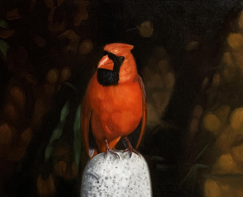 Painting of a northern cardinal perched on a rock