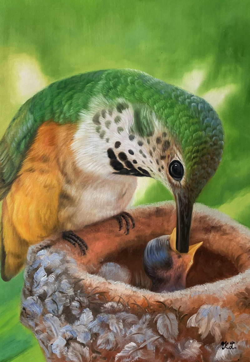 Hummingbird feeding chick in nest.