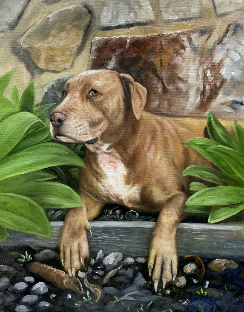 Painting of a brown pit bull resting in a stone planter surrounded by green plants.