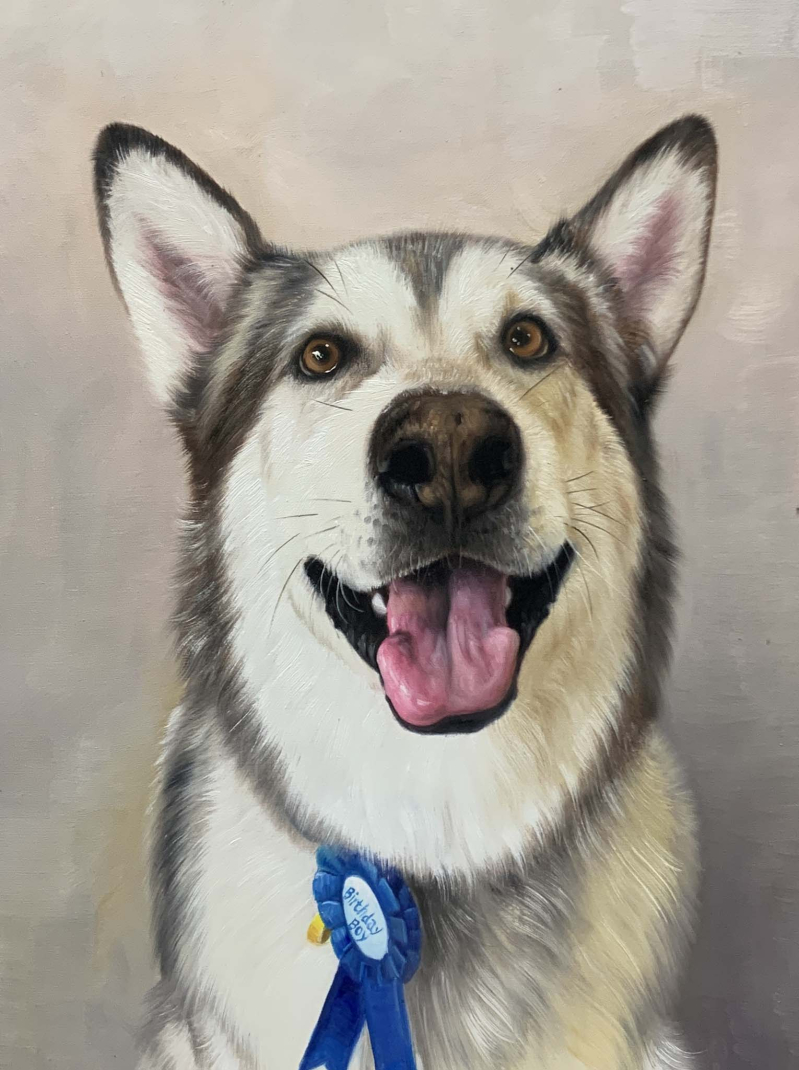 Painting of a happy Alaskan Malamute wearing a Birthday Boy ribbon.
