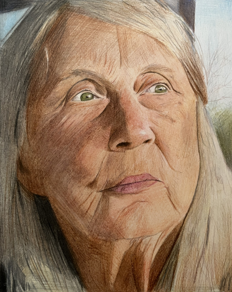 Close-up colored pencil portrait of an elderly woman with gray hair.