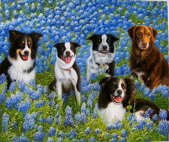 Five dogs in a field of bluebonnets.