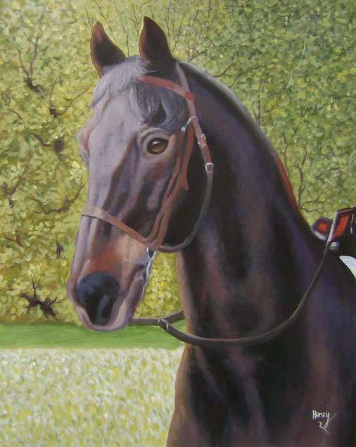 horse portrait in acrylic