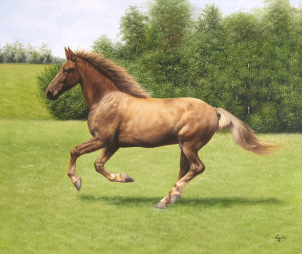 horse portrait - running in the fields