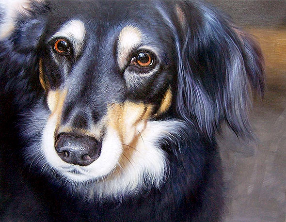 dog portraits in oil