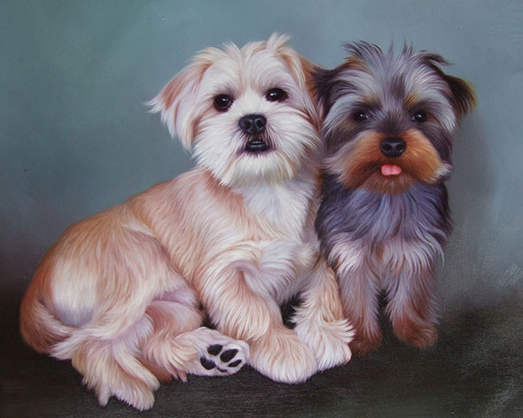 Painted portrait of two small dogs, a light tan Lhasa Apso and a dark gray Yorkshire Terrier, sitting together.