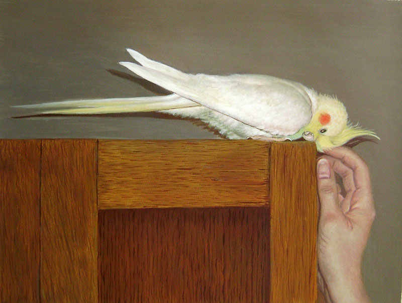 custom acrylic painting of bird with man petting it