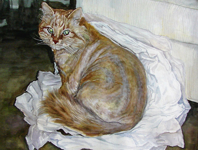 custom watercolor painting of long haired orange cat