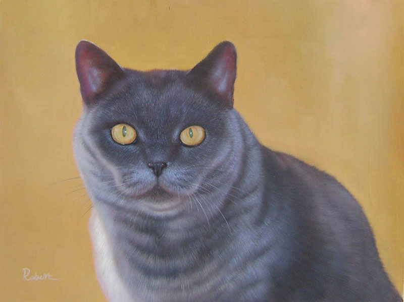 Katze als Ölporträt