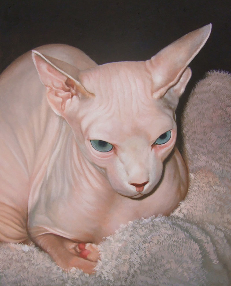 custom oil painting of a sphynx cat