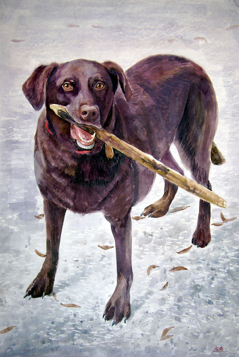 custom watercolor painting of brown dog carrying a stick